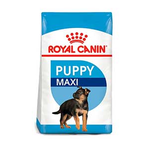 royal canin puppy maxi