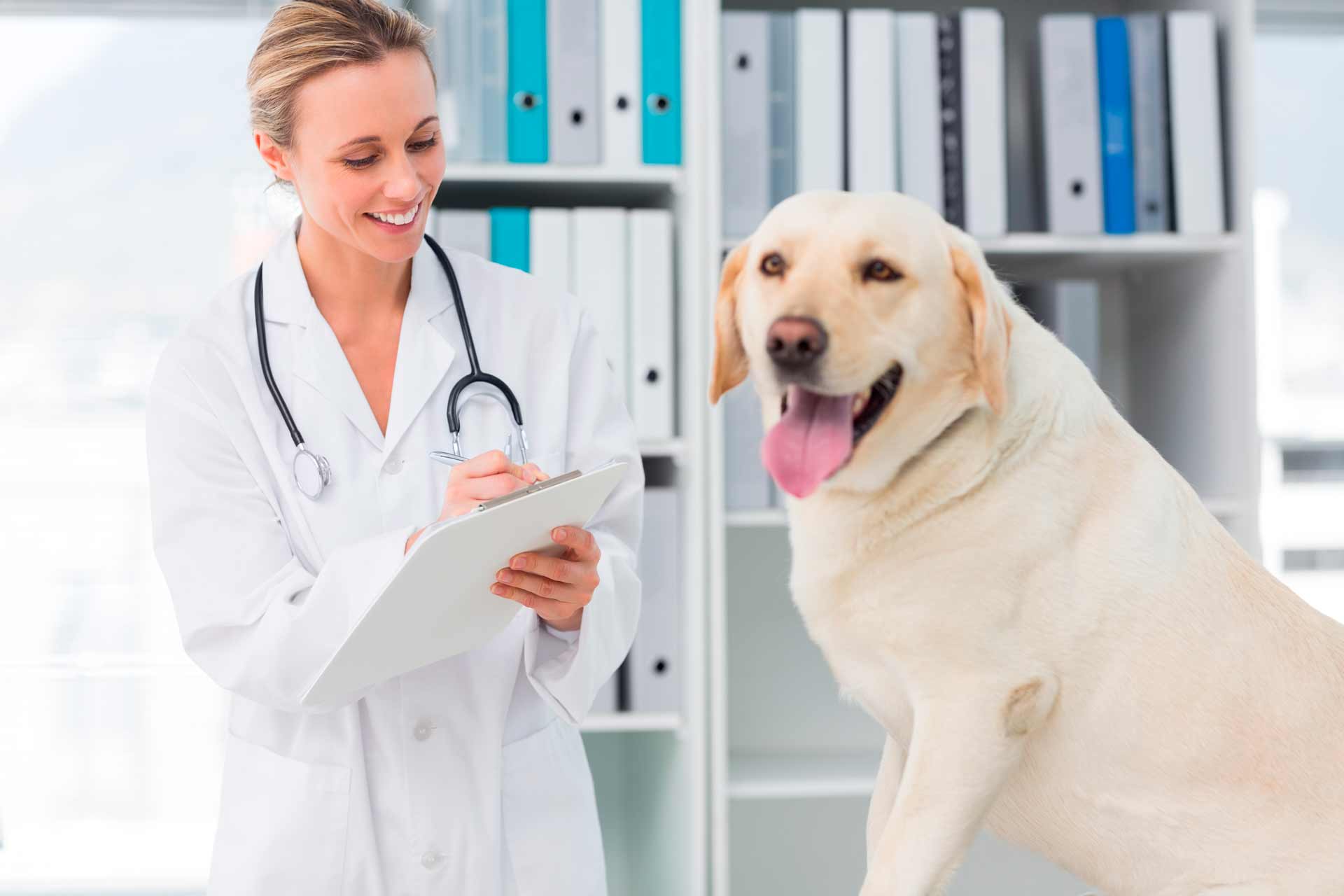 vacunas-para-perros