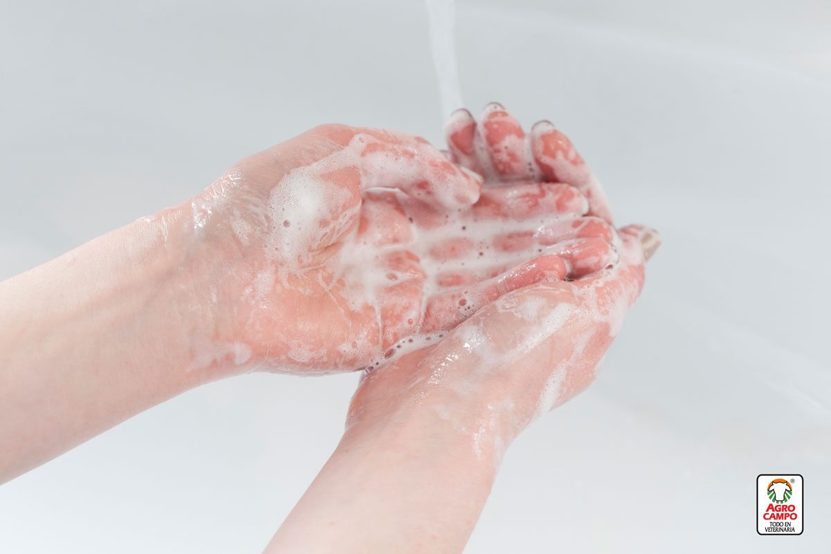 coronavirus-lavate-las-manos