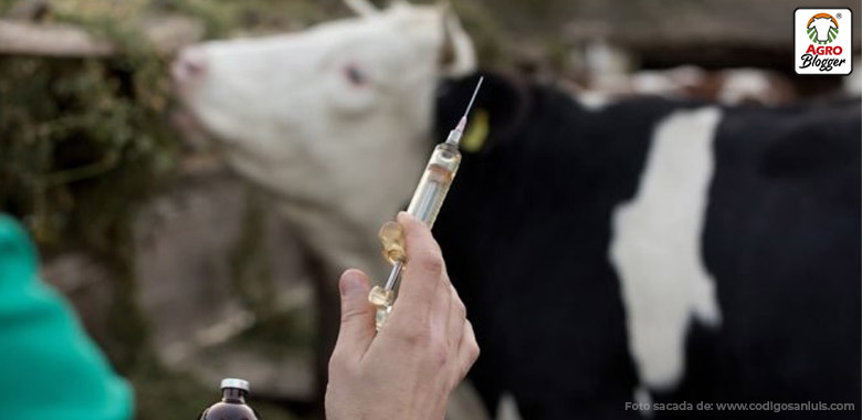 metodos inseminacion artificial vacas