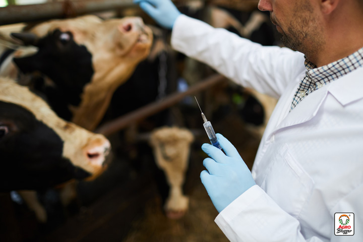 formas de diagnostico de la tuberculosis en bovinos
