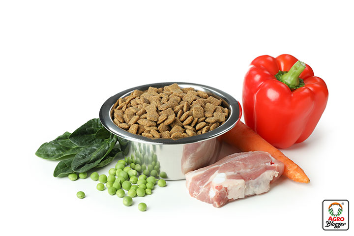 agregar mas proteina a la comida de un perro para mejorar el sabor