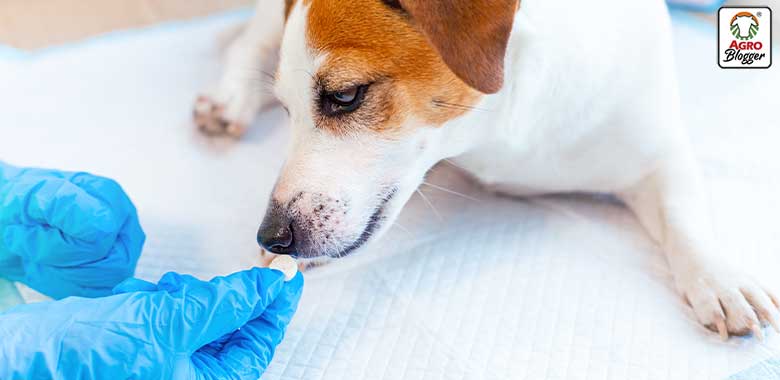 pastilla neurexan a perro para protegerlo de la polvora