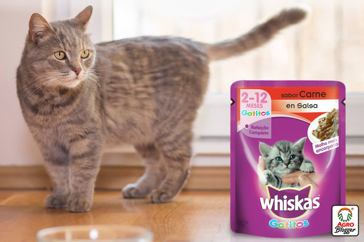 comida para gatos whiskas. composicion y formulas