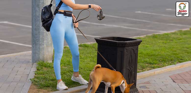 alternativas ecologicas bolsas biodegradables para perros