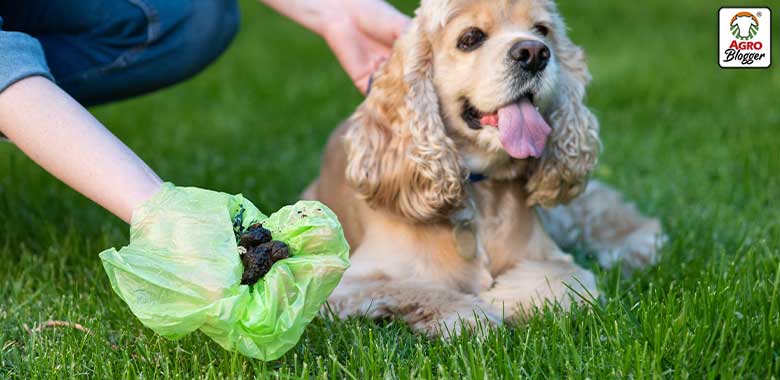 beneficios del uso de bolsas ecologicas para perros