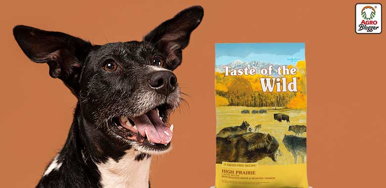 concentrado para perros taste of the wild high prairie