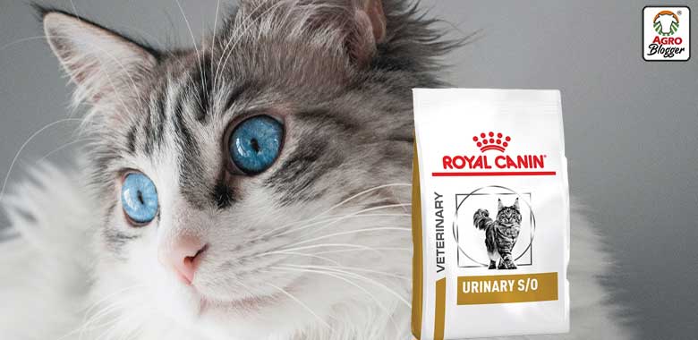 royal canin urinary care para gatos