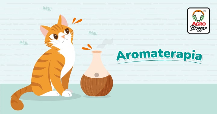 aromaterapia para gatos