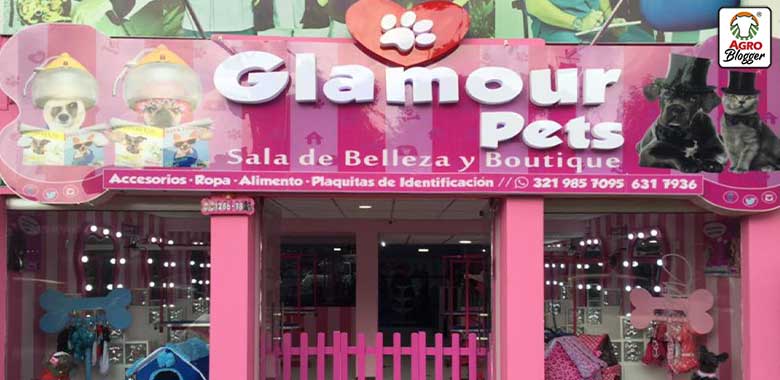 peluqueria canina glamour pets