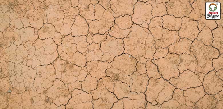 suelo arido impacto ambiental ganaderia