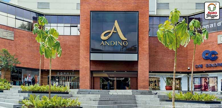 centro comercial andino