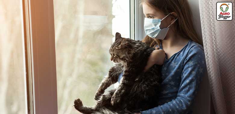 mujer alergica con gato hipoalergenico