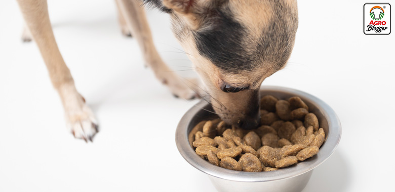 Alimentos para perros con problemas hepaticos