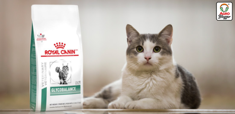 alimento para gatos diabeticos royal canin