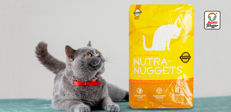 nutra nuggets formula mantenimiento para gatos