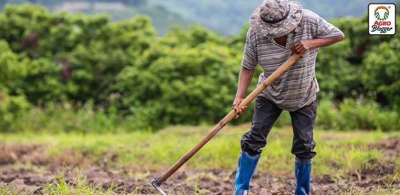 agricultura sostenible en colombia