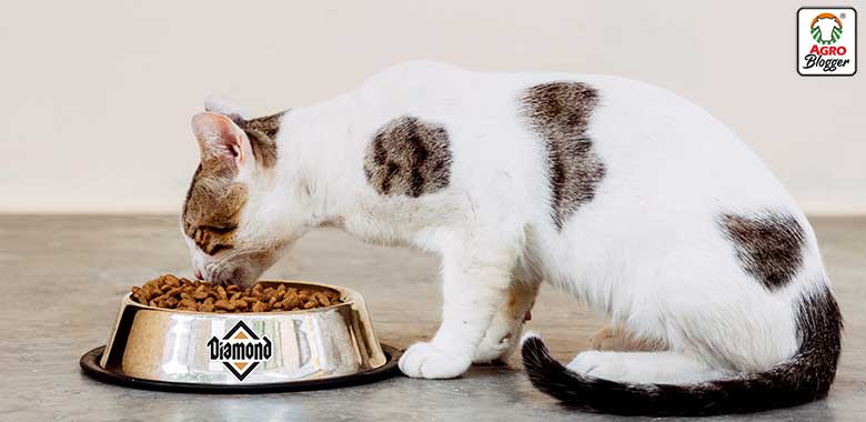 alimento diamond para gatos