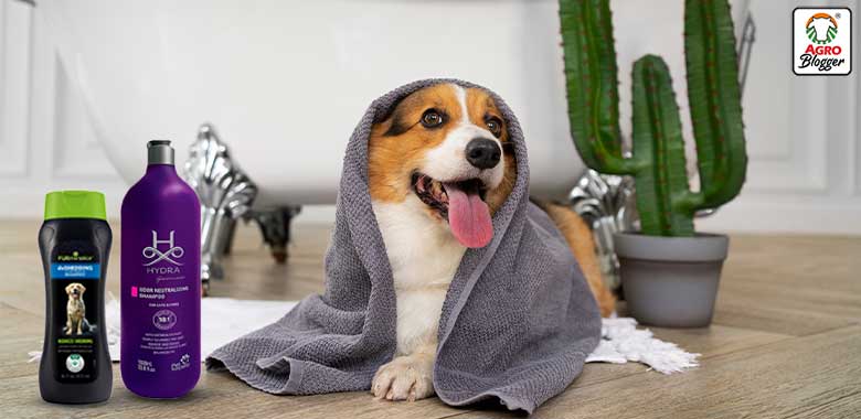 shampoo acondicionador para perros