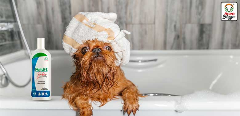 shampoo especializado para perros perfull t