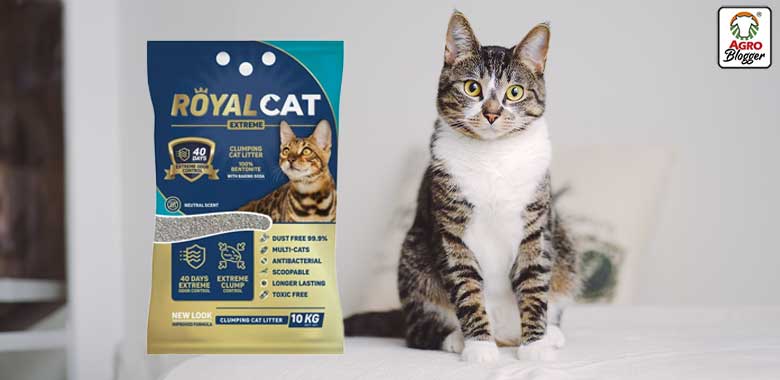 arena gatos royal cat sin olor