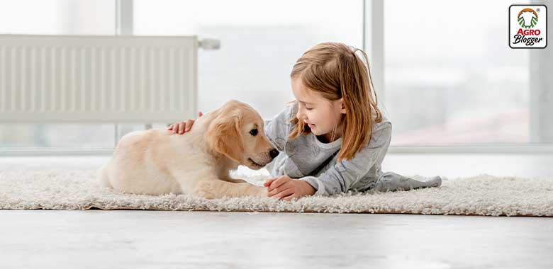 7 mejores razas de perros para niños ¡Descúbrelas!