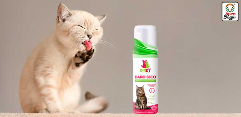 shampoo en seco para gatos