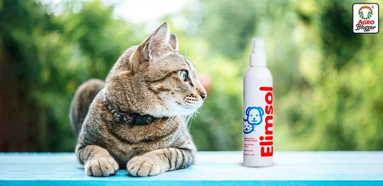 spray eliminador de olores para gatos