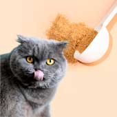 Alimentos ricos en fibra para gatos ¡Conócelos!