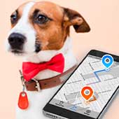¿Cuál es el mejor localizador GPS para perros? ¡Descúbrelo!