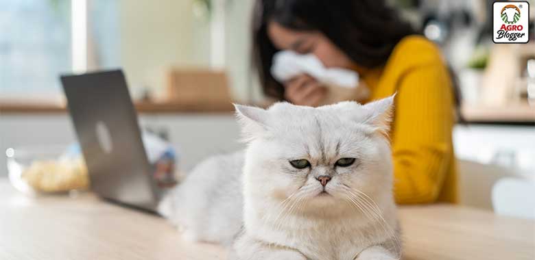 remedios caseros para la alergia a los perros y gatos