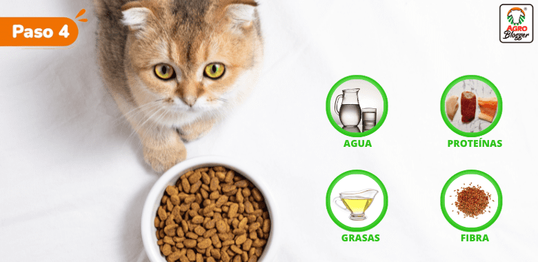 caspa en gatos dieta