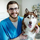 ¿Cómo elegir un buen veterinario? ¡8 tips!