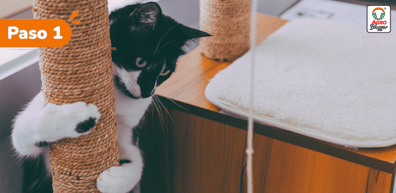 evitar gatos aranen muebles con rascador