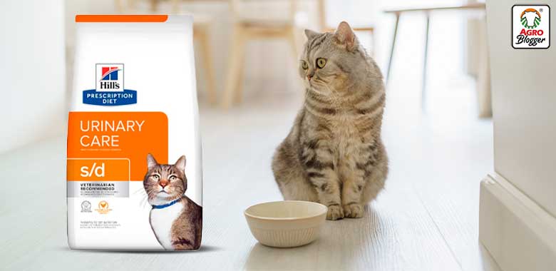 alimento para eliminar calculos renales en gatos