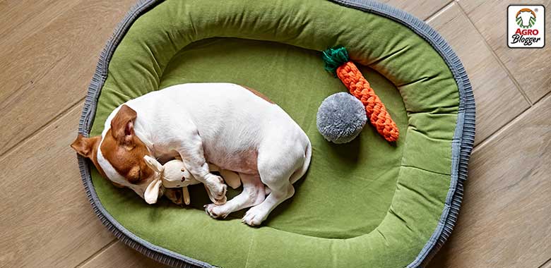 cama impermeable para perros