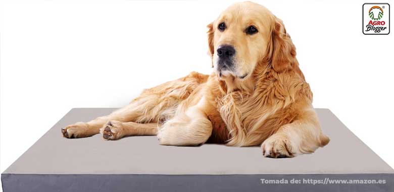 cama ortopedica para perros