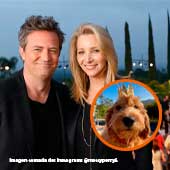 Lisa Kudrow considera adoptar al perro de Matthew Perry