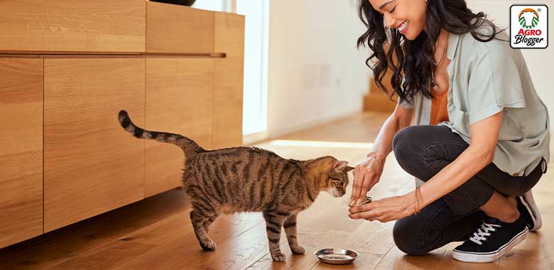 requerimientos dieta para gatos con calculos renales