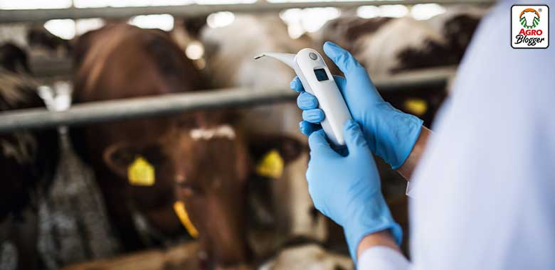 tratamiento de criptosporidiosis en ganado bovino