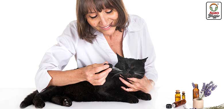 beneficios de la terapia con flores de bach para perros y gatos