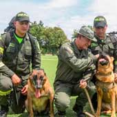 Héroes de 4 patas: La labor vital de los perros de rescate en la búsqueda del padre de Luis Díaz