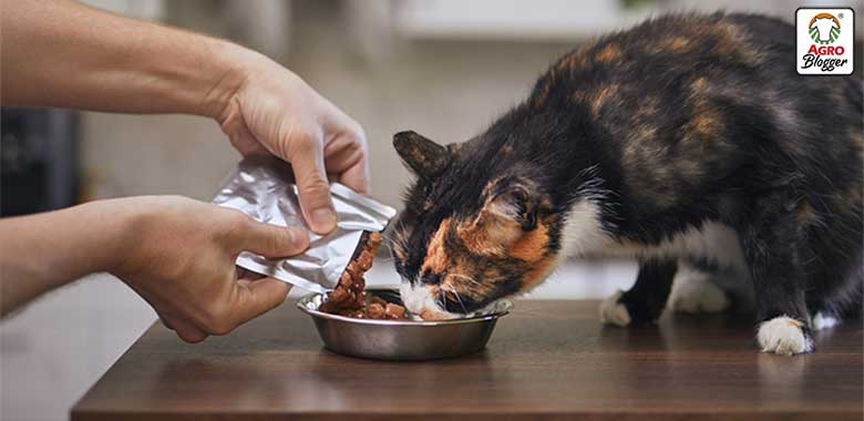 cual es el mejor alimento humedo para gatos