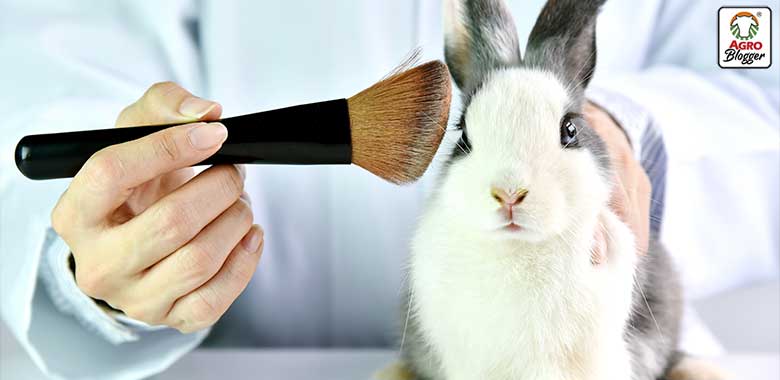 evita productos testeados en animales