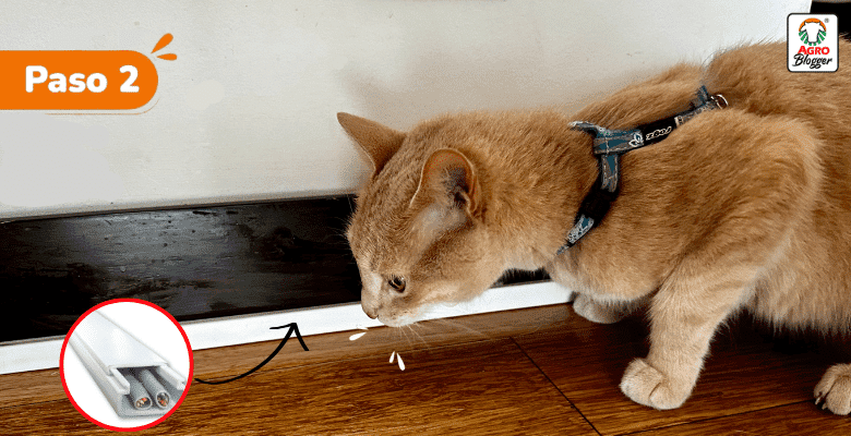 hacer que tu gato no muerda los cables paso 2