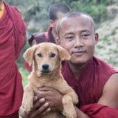 Bután: Primer país en el mundo en esterilizar a todos sus perros callejeros