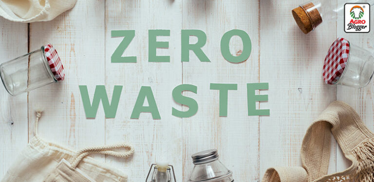 movimiento zero waste