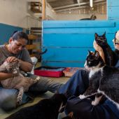 Popayán inaugura el refugio de animales más grande del suroccidente colombiano