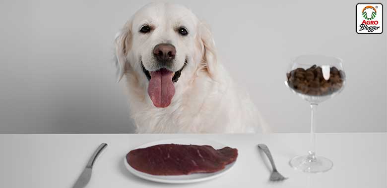 5 alimentos ricos en hierro para perros