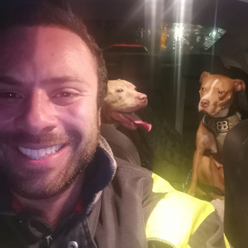 Hombre decide salvar a perros de raza prohibida en Reino Unido
